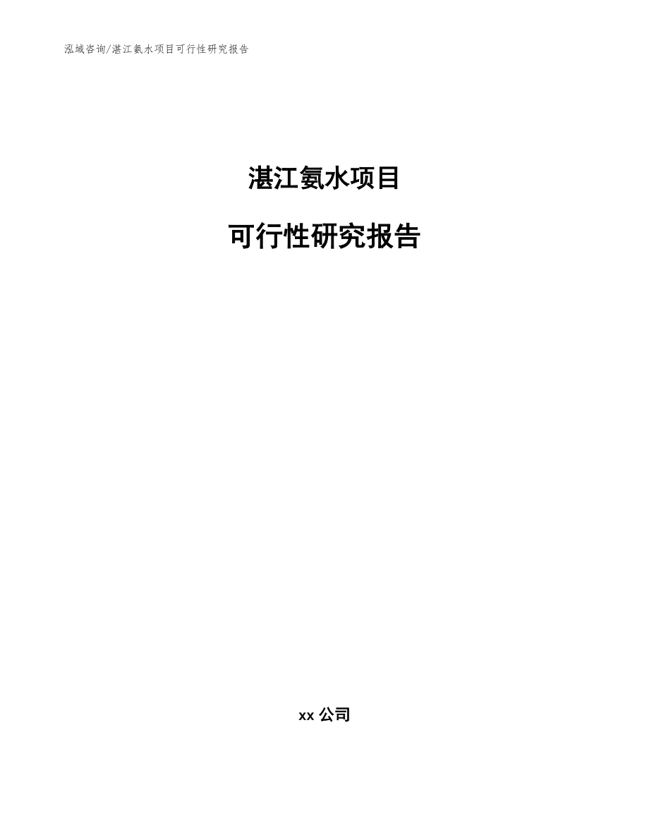 湛江氨水项目可行性研究报告（模板范文）_第1页