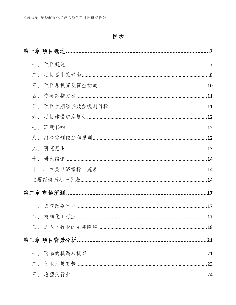 晋城精细化工产品项目可行性研究报告_范文_第1页