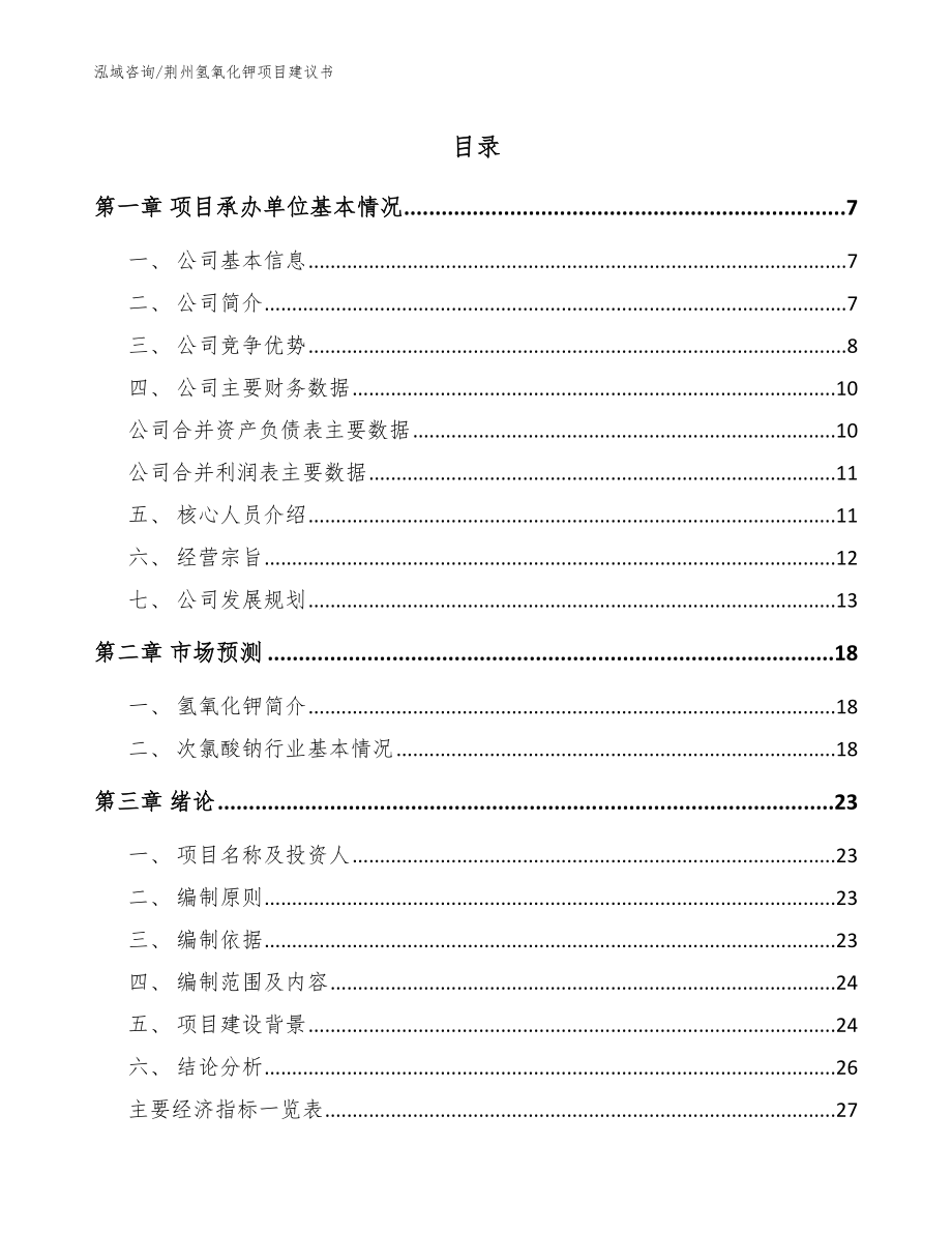 荆州氢氧化钾项目建议书_参考模板_第1页