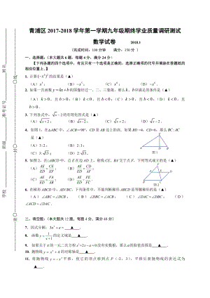 青浦区初三数学一模试卷及答案