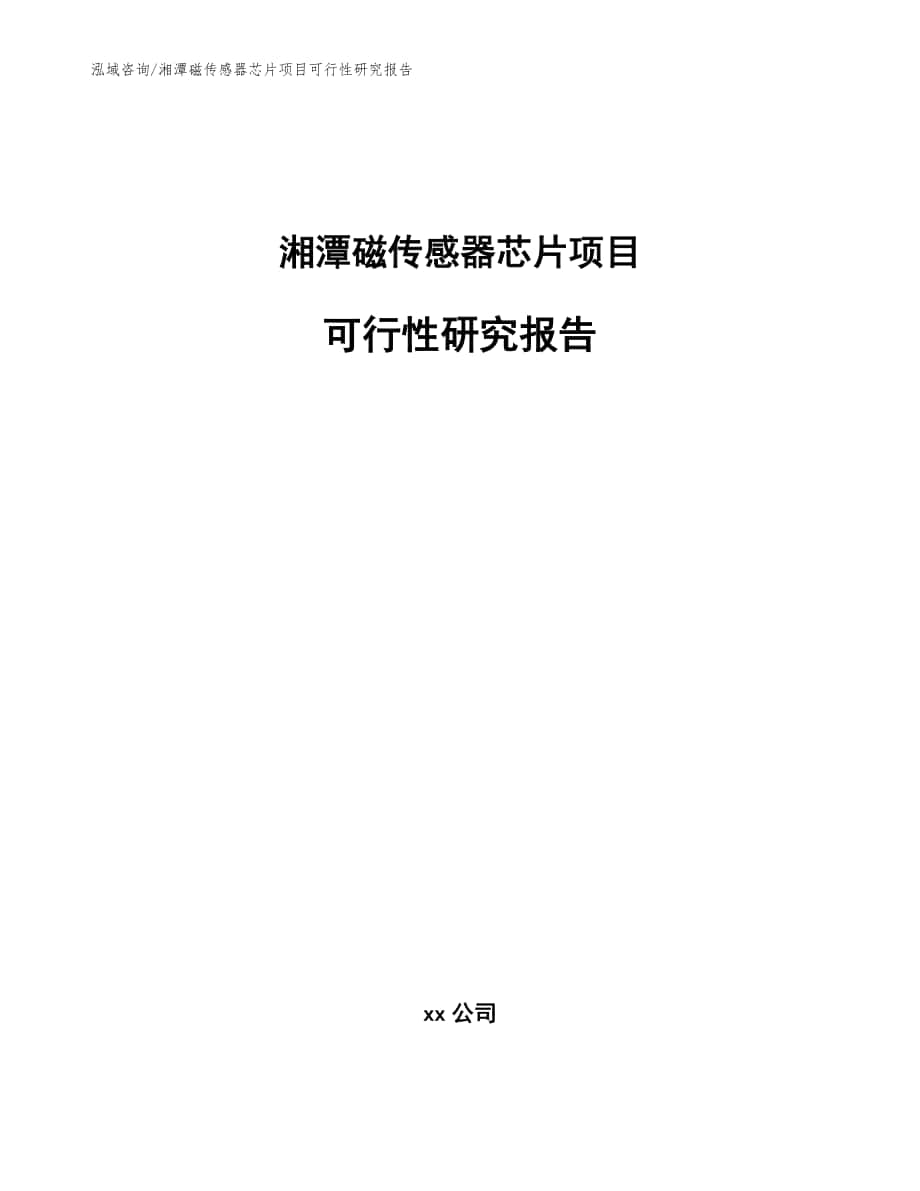 湘潭磁传感器芯片项目可行性研究报告_模板范文_第1页