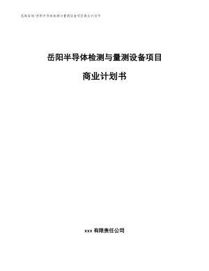 岳阳半导体检测与量测设备项目商业计划书（范文模板）