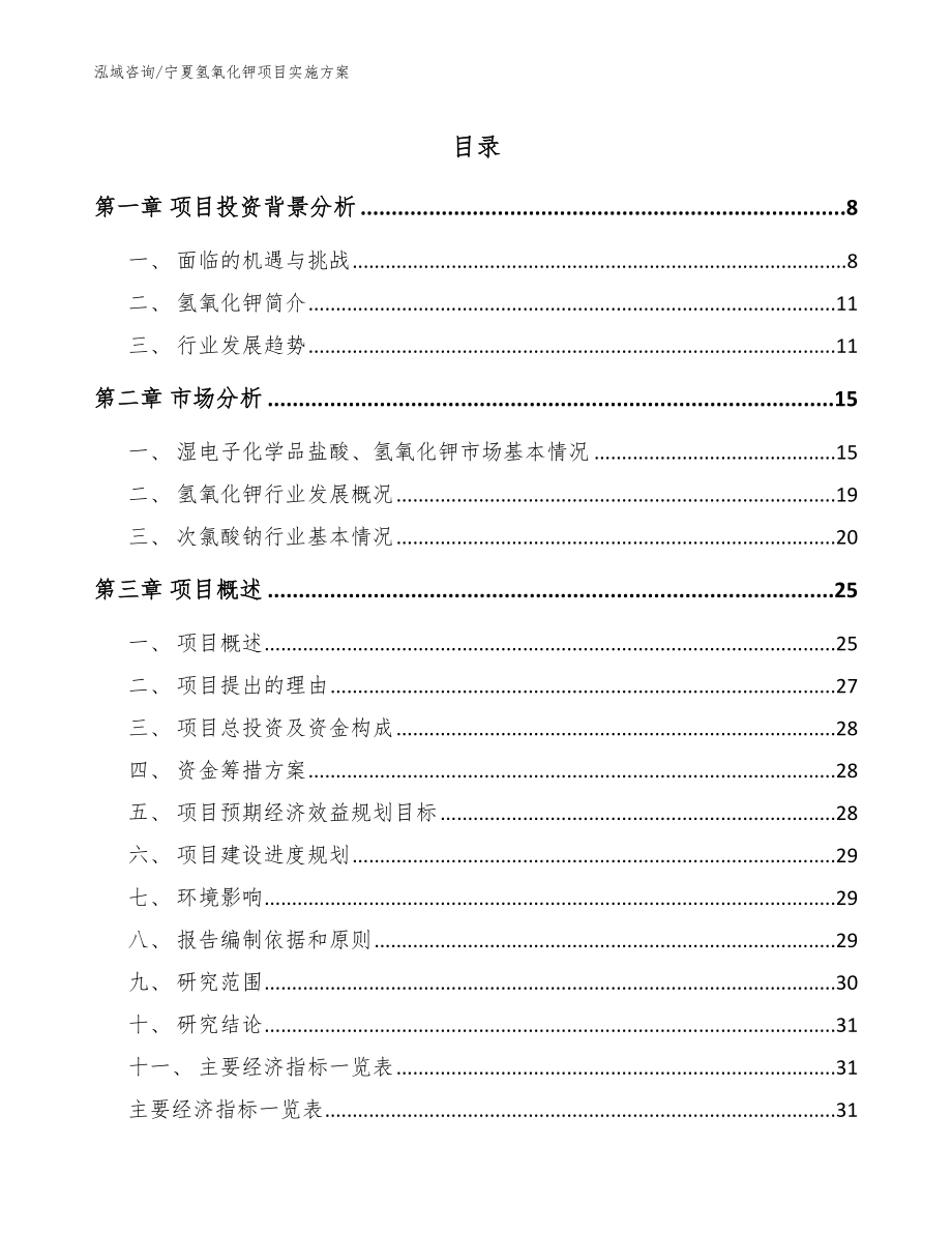 宁夏氢氧化钾项目实施方案_范文参考_第1页