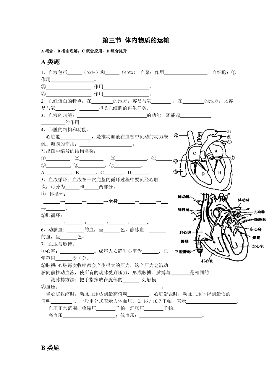 第四章代謝與平衡--第三節(jié) 體內(nèi)物質(zhì)的運輸_第1頁