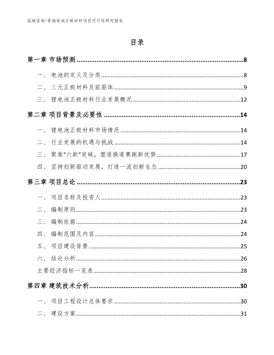 晋城电池正极材料项目可行性研究报告_参考模板_第1页