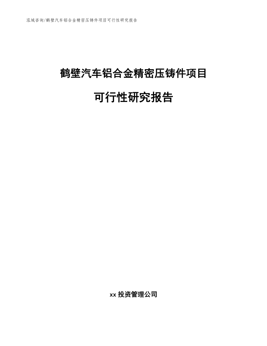 鹤壁汽车铝合金精密压铸件项目可行性研究报告范文_第1页