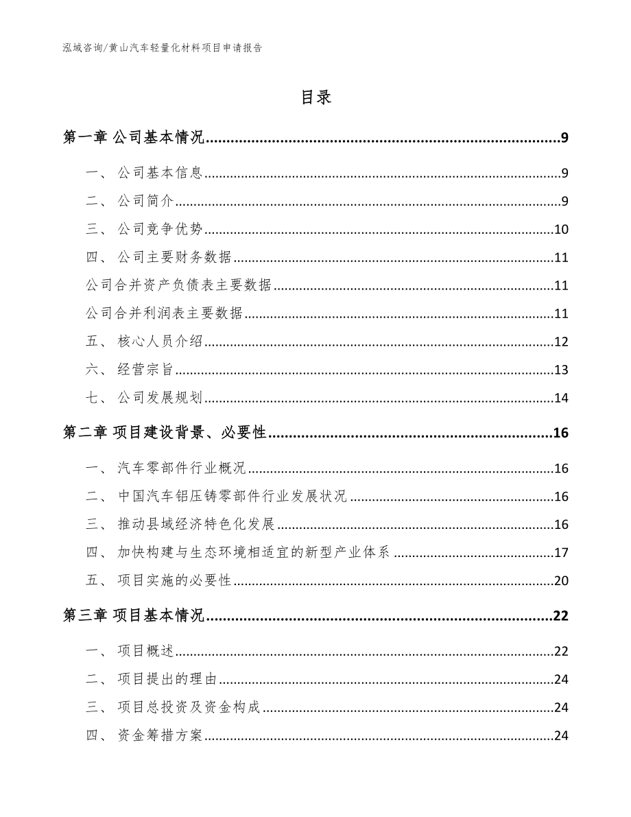 黄山汽车轻量化材料项目申请报告_范文_第1页