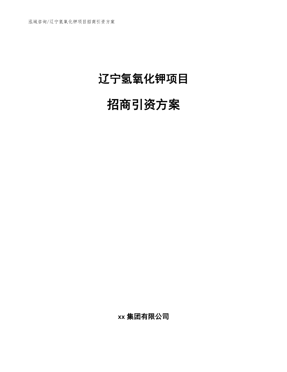 辽宁氢氧化钾项目招商引资方案模板范本_第1页