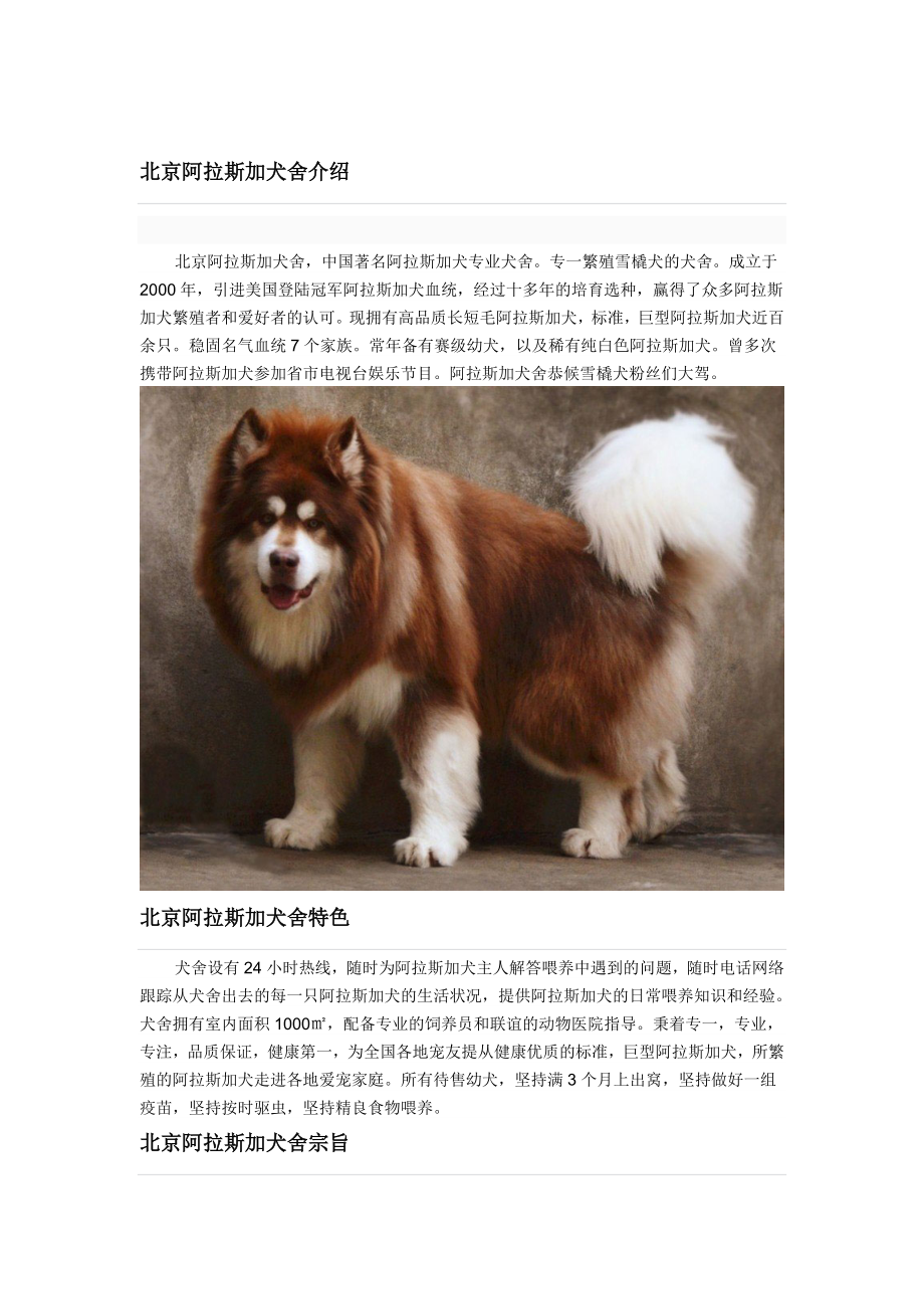 北京阿拉斯犬舍_第1页