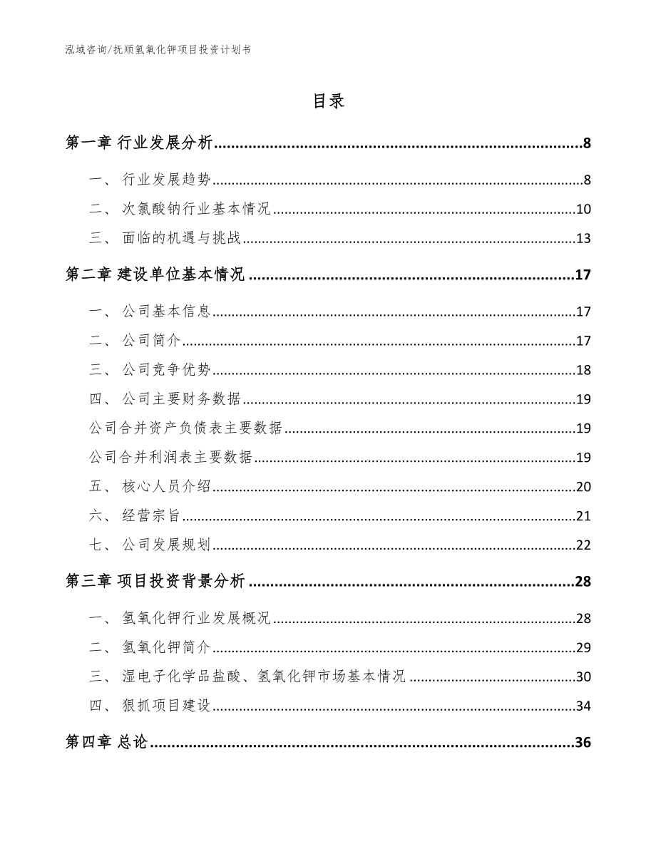 抚顺氢氧化钾项目投资计划书_范文_第1页