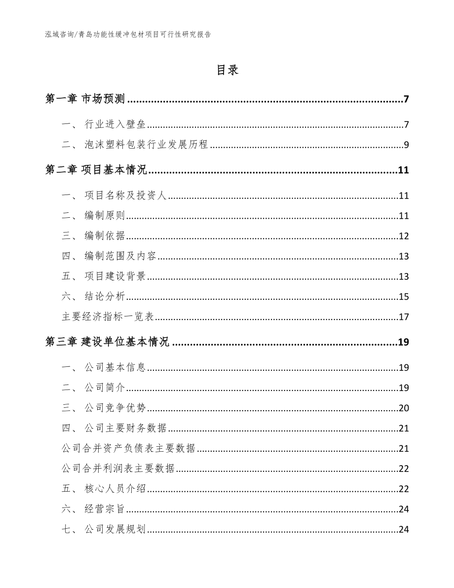 青岛功能性缓冲包材项目可行性研究报告（模板参考）_第1页