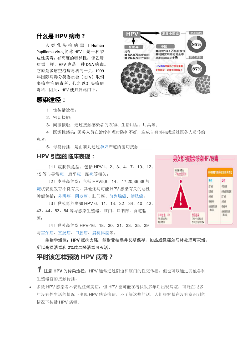 什么是HPV病毒_第1页