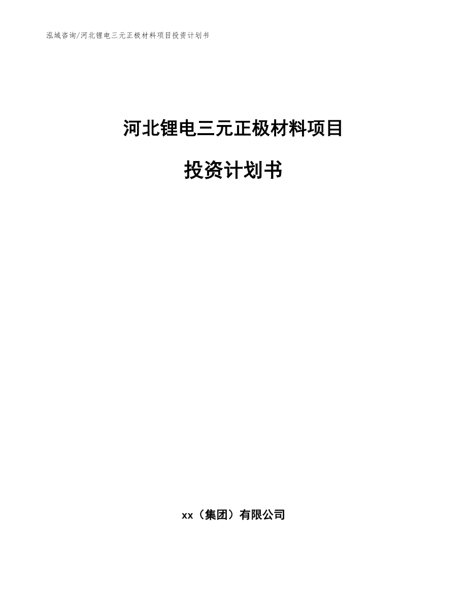 河北锂电三元正极材料项目投资计划书（模板参考）_第1页