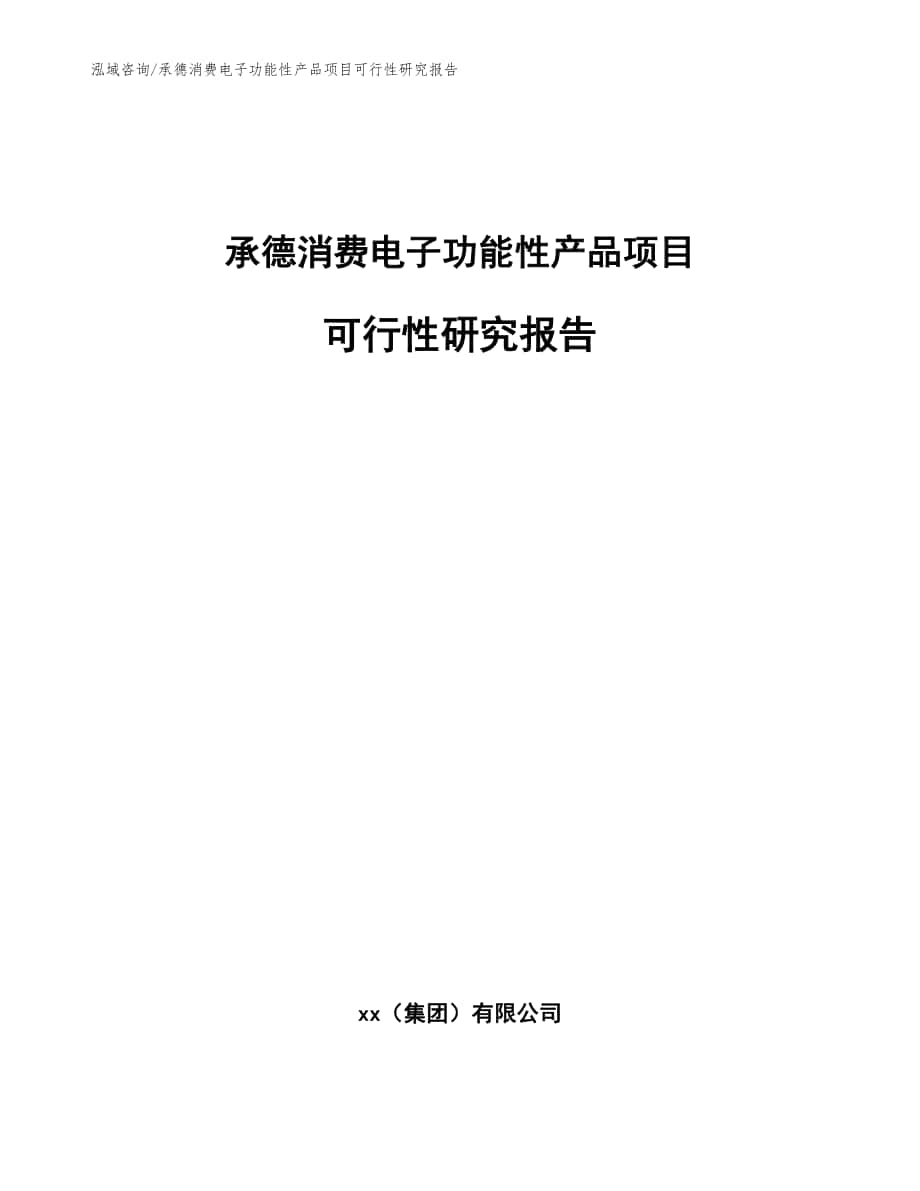 承德消费电子功能性产品项目可行性研究报告_范文_第1页