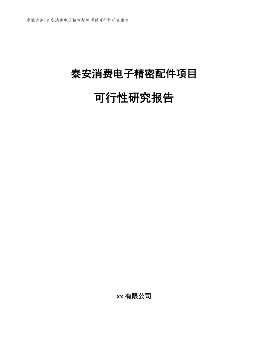 泰安消费电子精密配件项目可行性研究报告（范文参考）_第1页