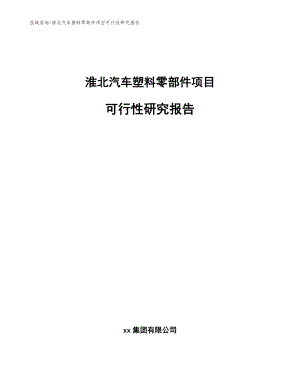 淮北汽车塑料零部件项目可行性研究报告【模板】