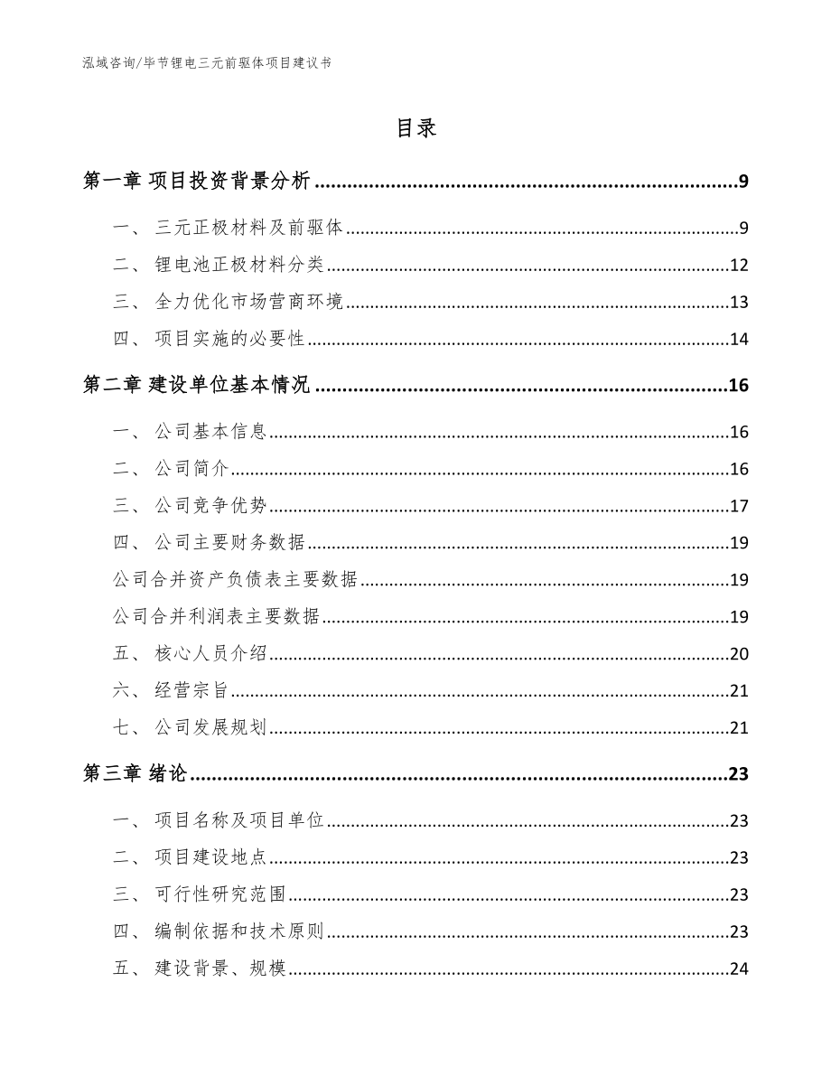 毕节锂电三元前驱体项目建议书_参考范文_第1页