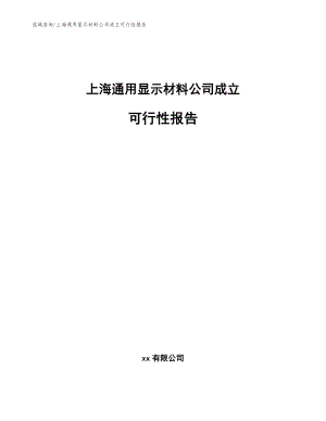 上海通用显示材料公司成立可行性报告范文