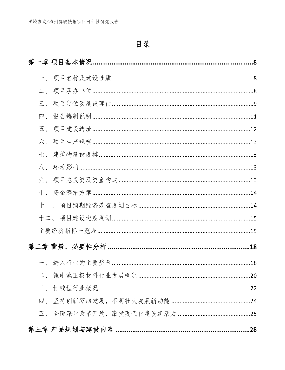 梅州磷酸铁锂项目可行性研究报告模板_第1页