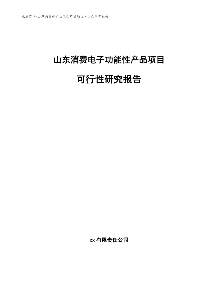 山东消费电子功能性产品项目可行性研究报告参考范文_第1页