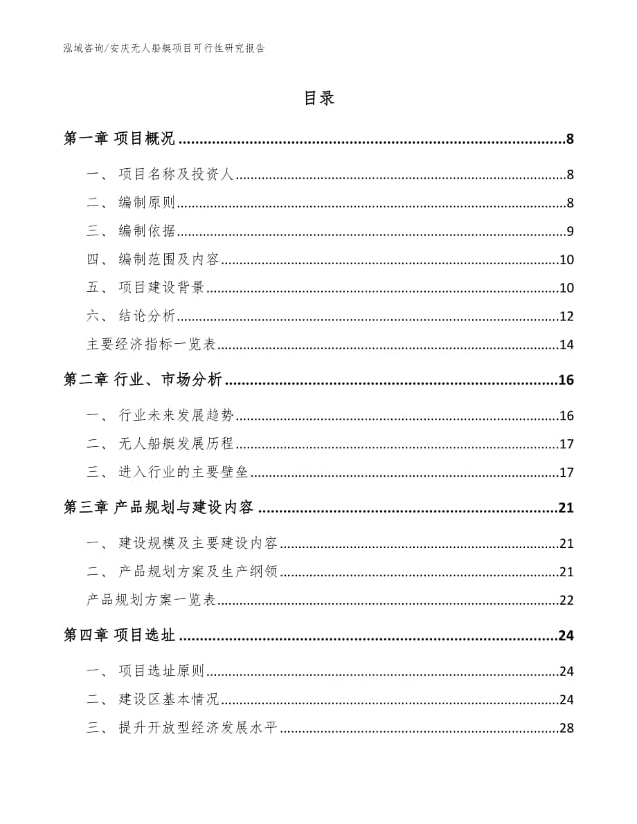 安庆无人船艇项目可行性研究报告（范文模板）_第1页