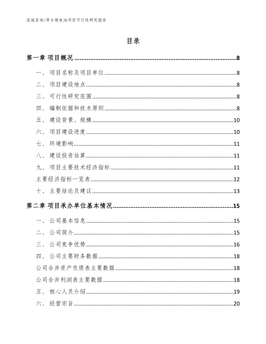 萍乡锂电池项目可行性研究报告（模板范本）_第1页