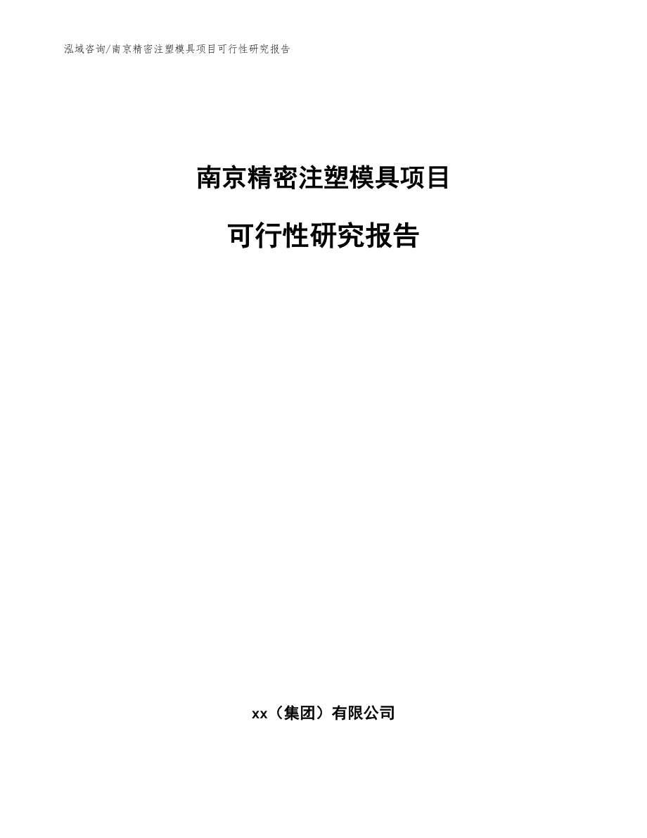 南京精密注塑模具项目可行性研究报告参考模板_第1页