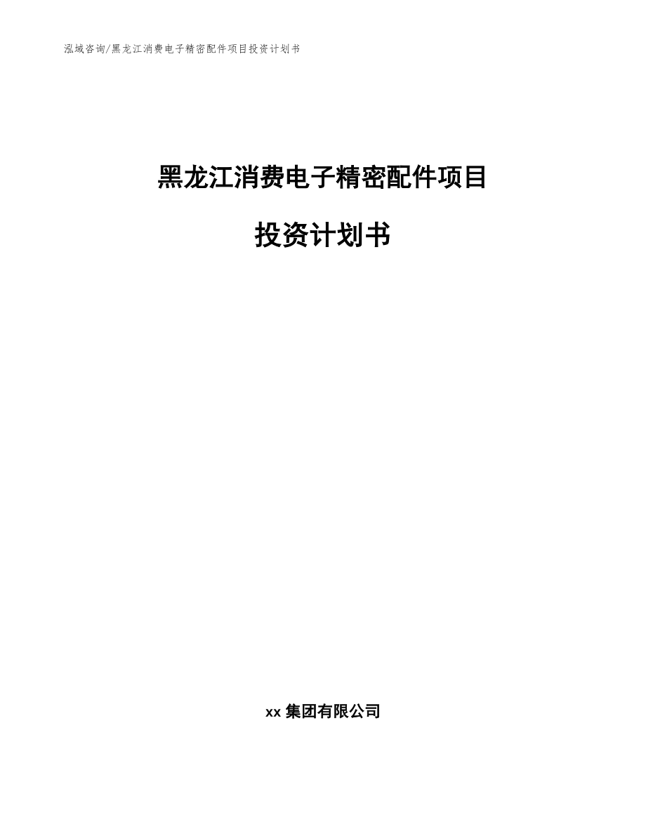 黑龙江消费电子精密配件项目投资计划书_模板参考_第1页