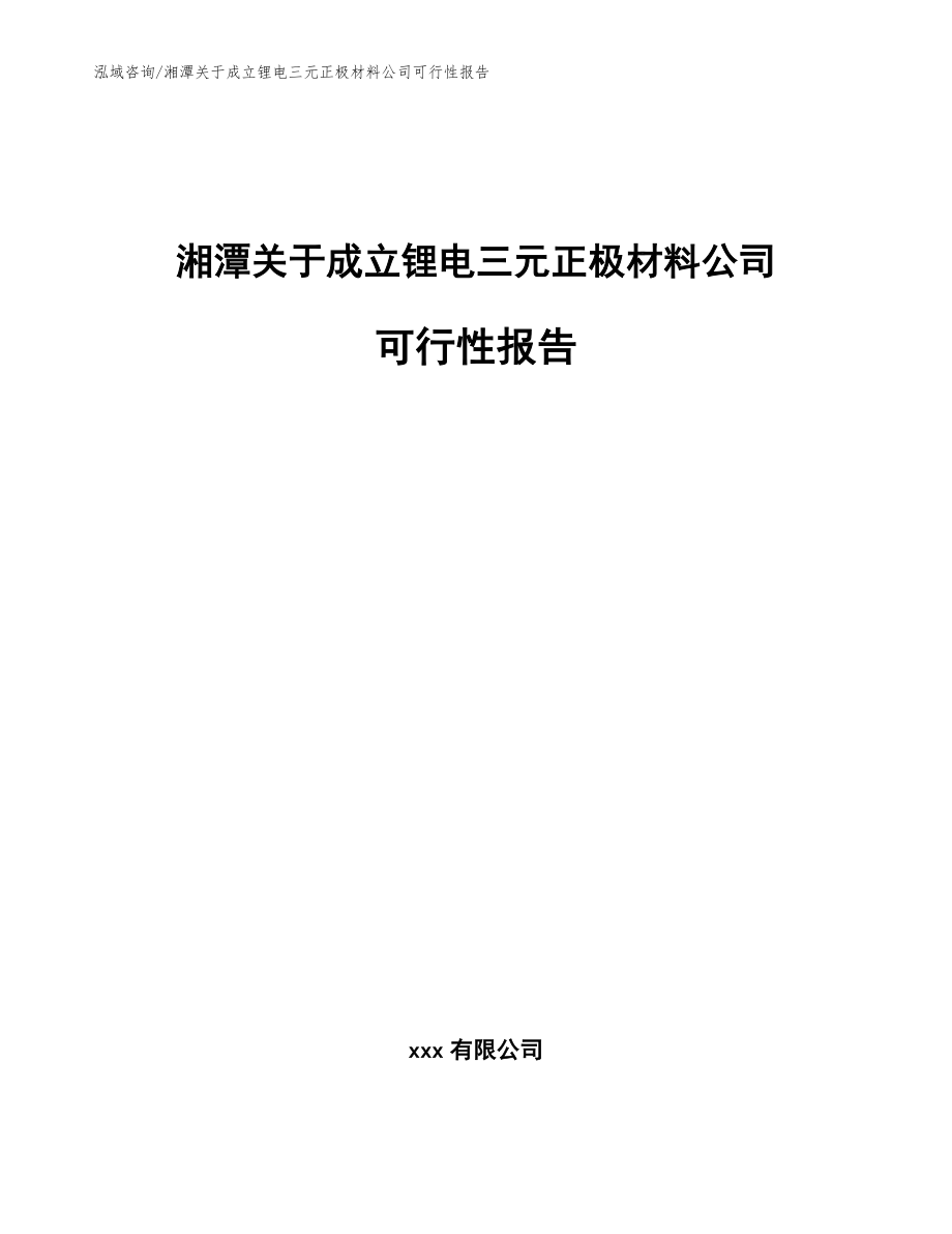 湘潭关于成立锂电三元正极材料公司可行性报告参考范文_第1页
