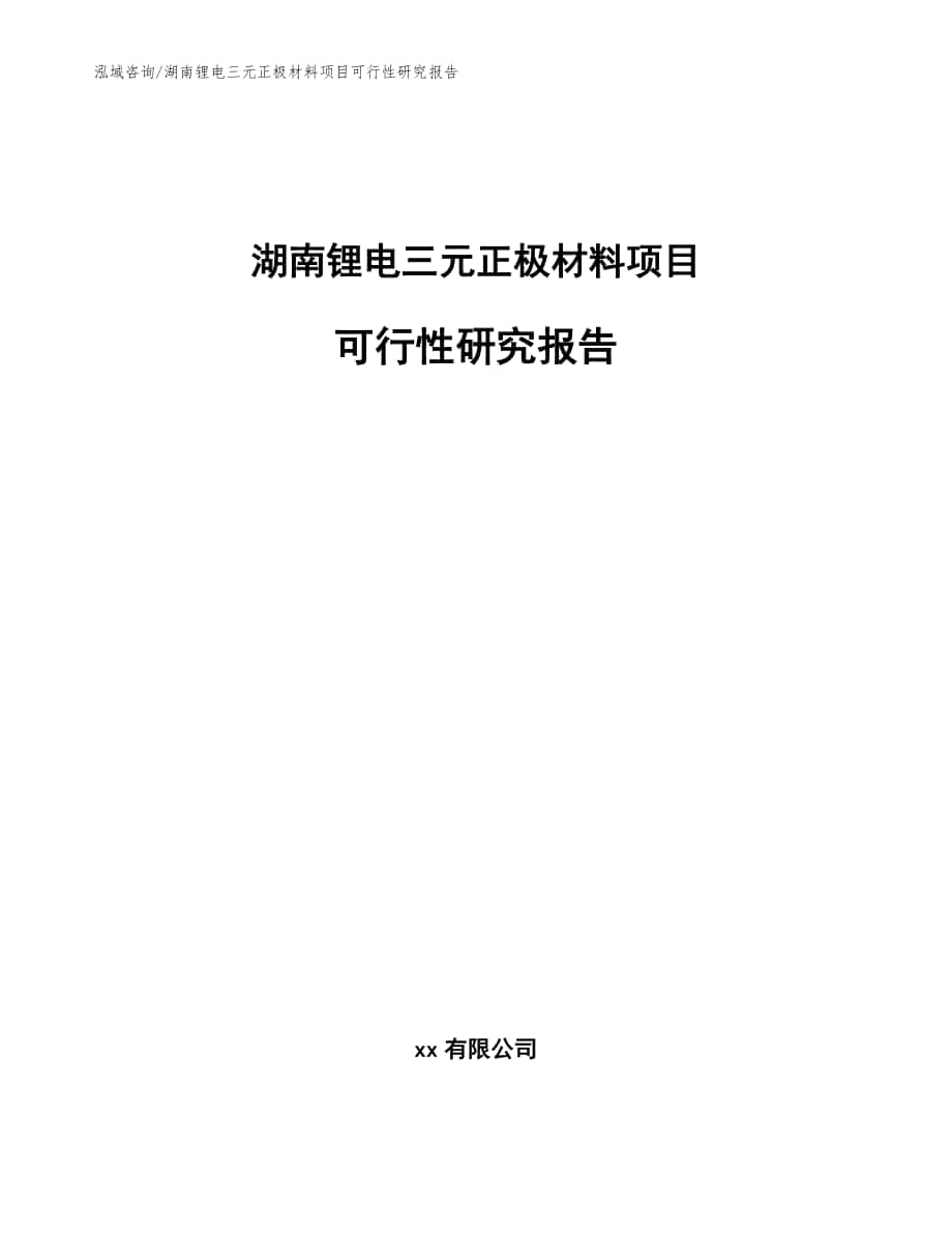 湖南锂电三元正极材料项目可行性研究报告【参考模板】_第1页