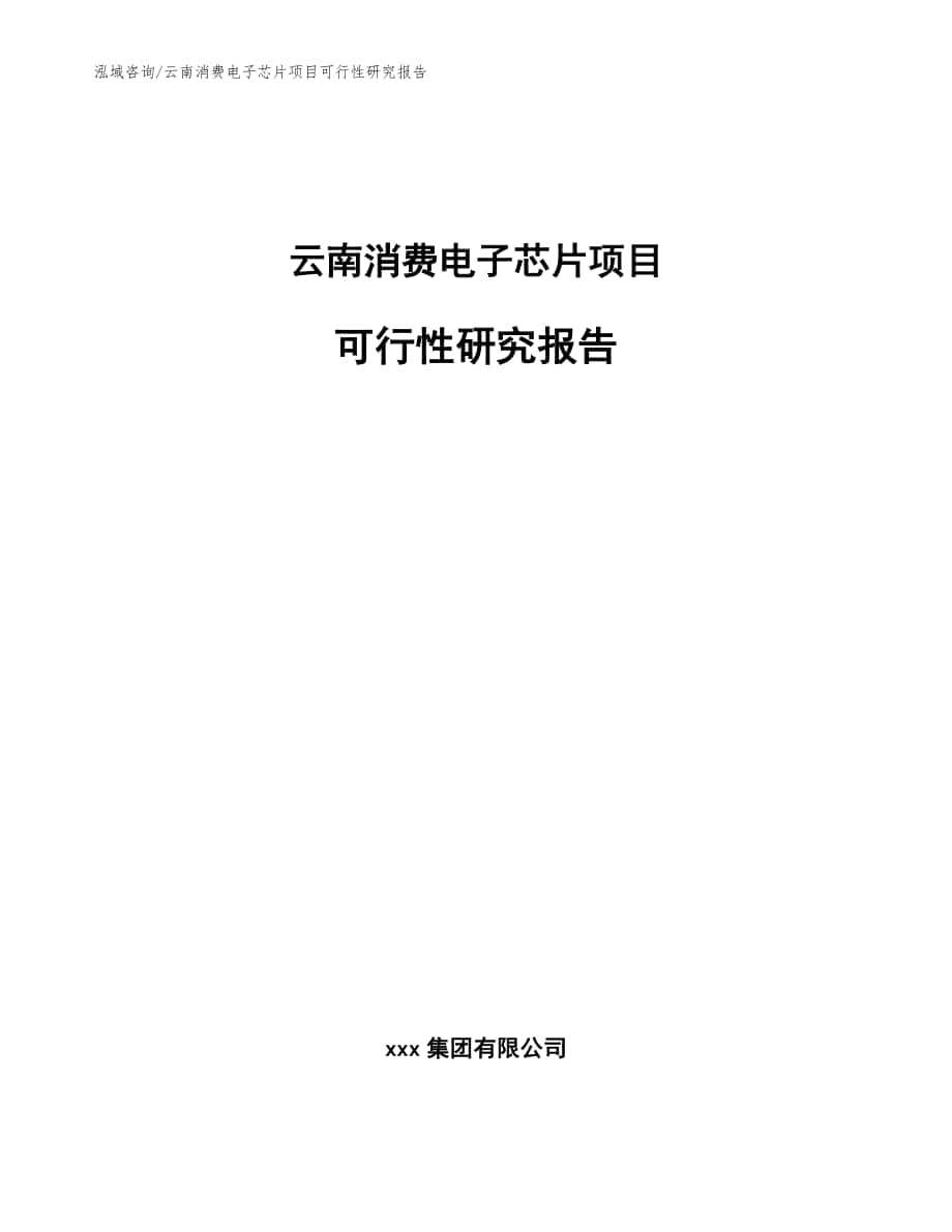 云南消费电子芯片项目可行性研究报告（参考范文）_第1页