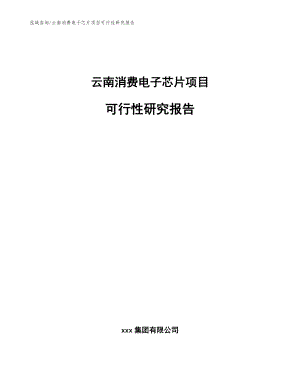 云南消费电子芯片项目可行性研究报告（参考范文）