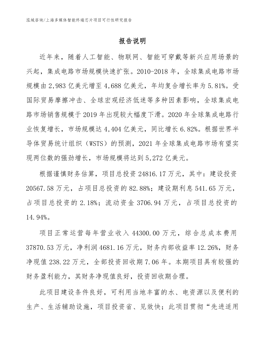 上海多媒体智能终端芯片项目可行性研究报告_模板参考_第1页
