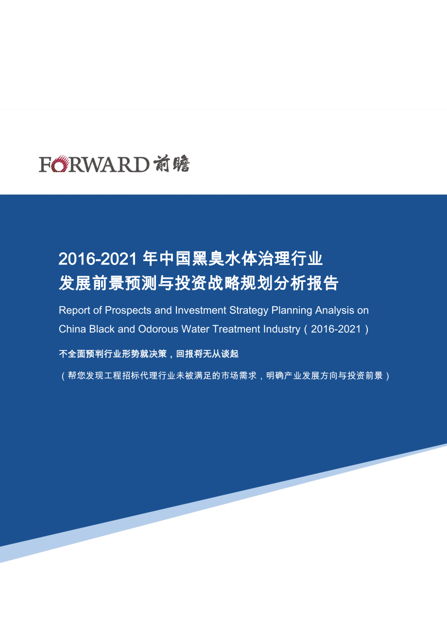 中国黑臭水体治理行业发展前景预测与投资战略规划分析报告_第1页