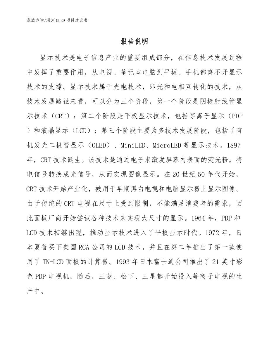 漯河OLED项目建议书（范文参考）_第1页