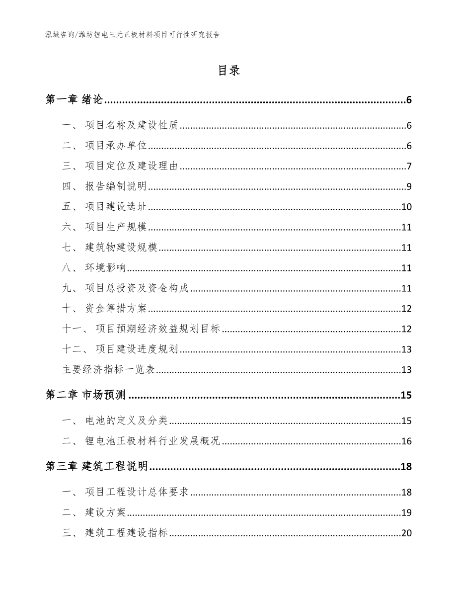 潍坊锂电三元正极材料项目可行性研究报告_模板_第1页