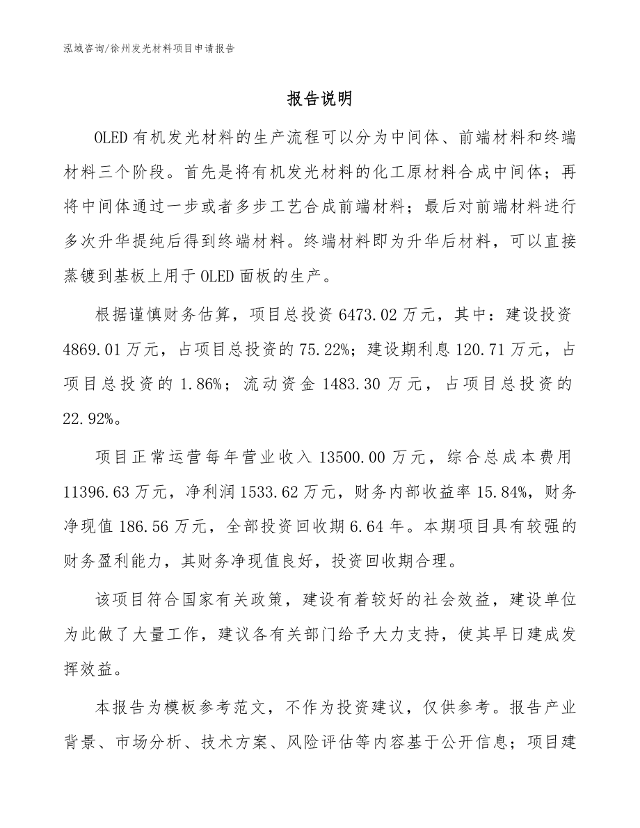 徐州发光材料项目申请报告（参考模板）_第1页