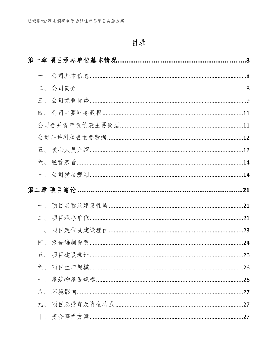 湖北消费电子功能性产品项目实施方案参考范文_第1页