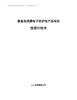秦皇岛消费电子防护性产品项目投资计划书【范文】