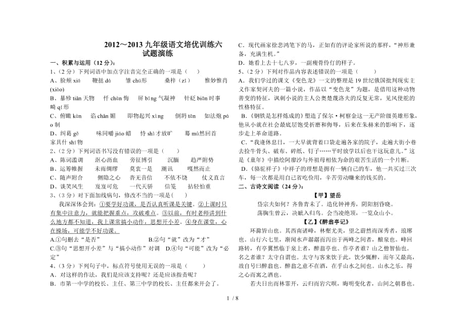 2012～2013九年级语文培优训练试题_第1页