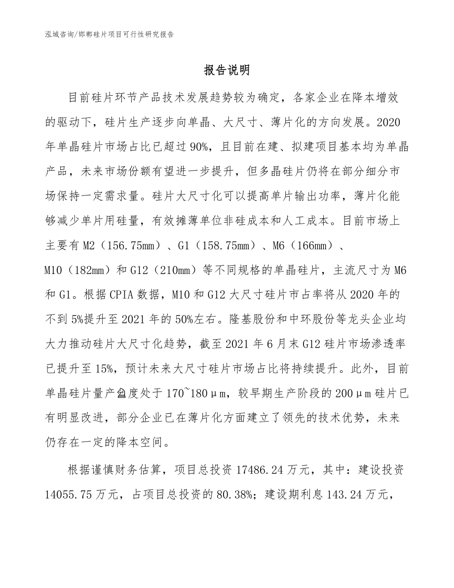邯郸硅片项目可行性研究报告（范文模板）_第1页