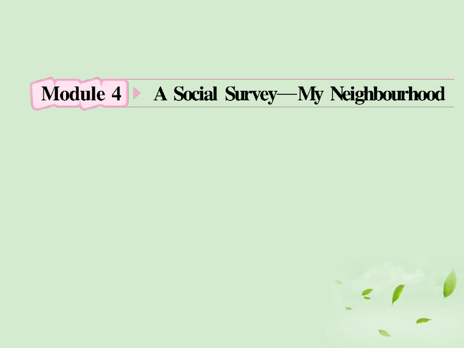 2012高考英語(yǔ) Module4《A Social Survey-My Neighbourhood》知識(shí)與要點(diǎn)課件 外研版必修1_第1頁(yè)