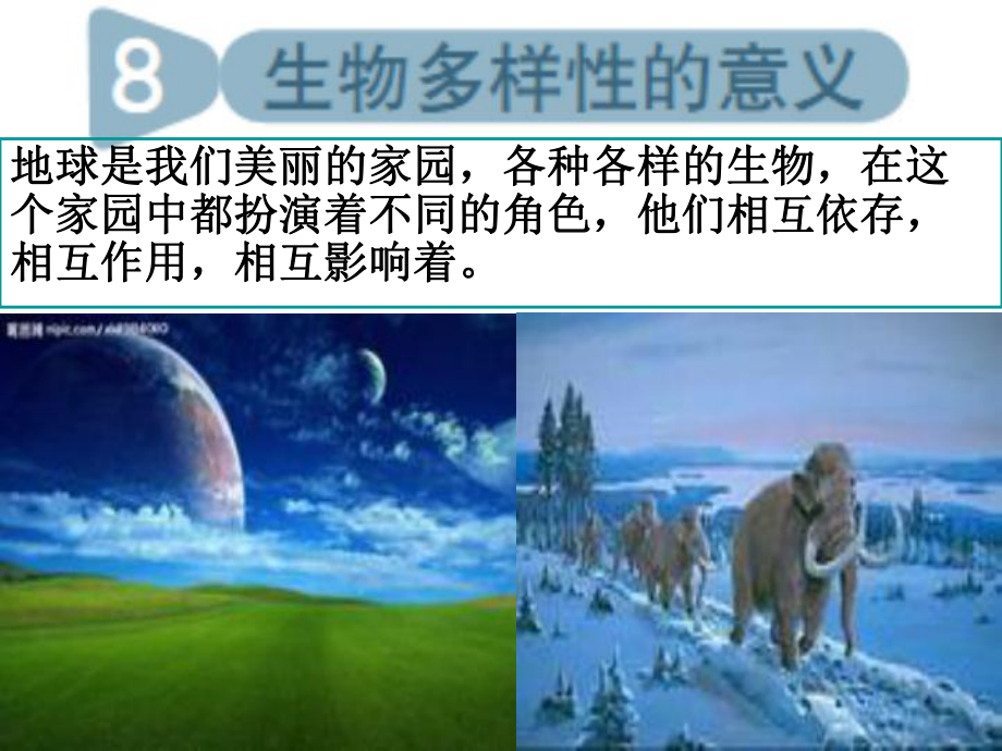 教科版科学六年级上册《生物多样性的意义》PPT课件_第1页