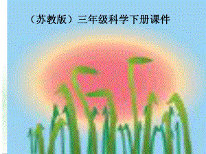 三年級(jí)科學(xué)下冊(cè)《觀察與測(cè)量》