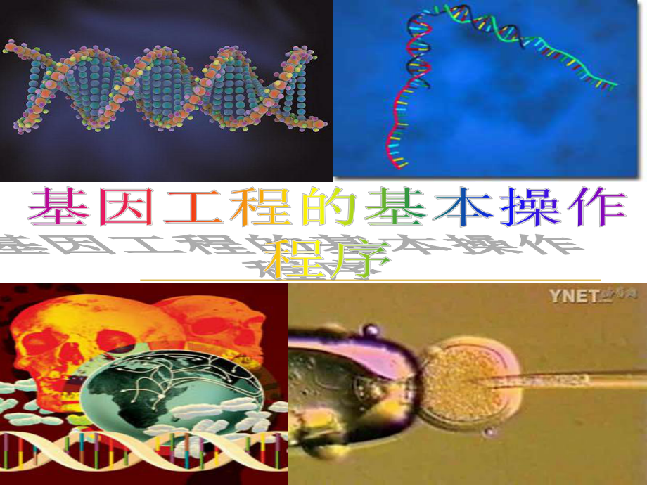 11基因工程的基本操作程序_第1頁