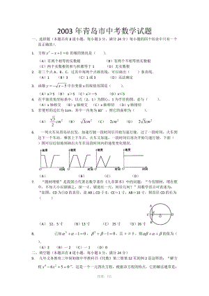 2003青岛中考数学题(含答案)