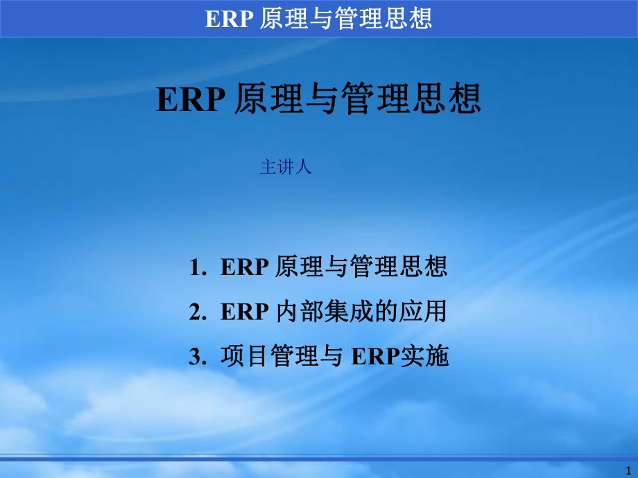 ERP原理与管理思想概述_第1页