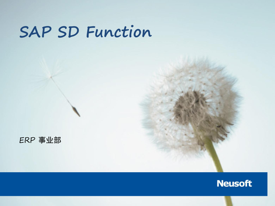 Neu内部培训-SAP SD FUNCTION_第1页