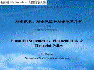 财务报表、财务风险与政策分析报告