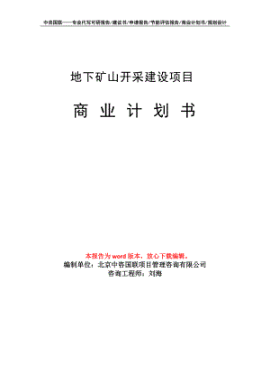 地下矿山开采建设项目商业计划书写作模板招商-融资